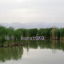 ɱ