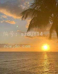 赸