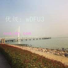 λ